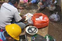 IMG-20210205-WA0121-FILEminimizer