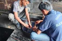 IMG-20210205-WA0134-FILEminimizer