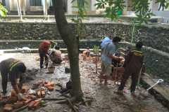 WhatsApp-Image-2021-02-02-at-14.46.38